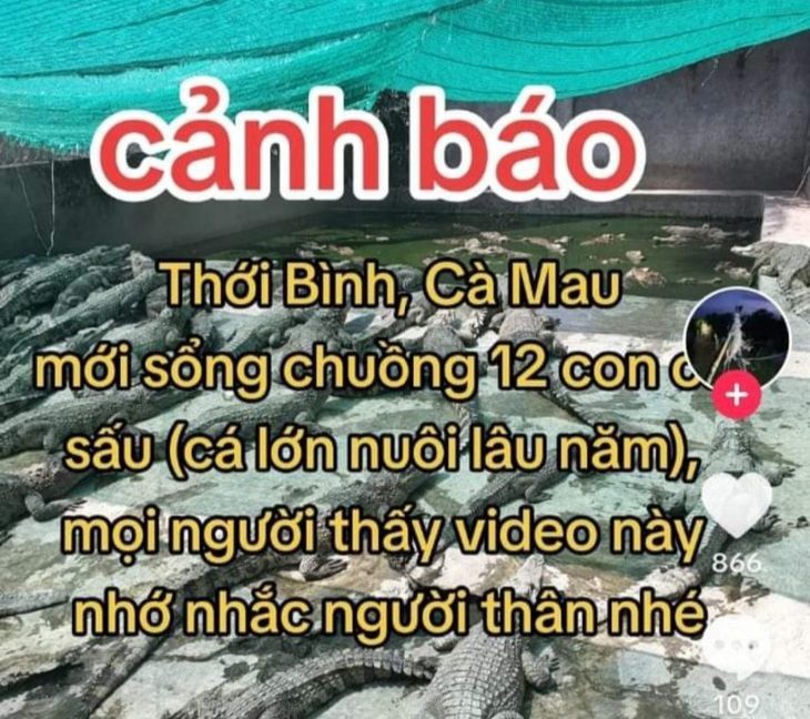 Sau vài ngày đăng tải, thông tin 12 con cá sấu sổng chuồng đã thu hút hơn 50.000 lượt xem - Ảnh: THANH HUYỀN chụp màn hình