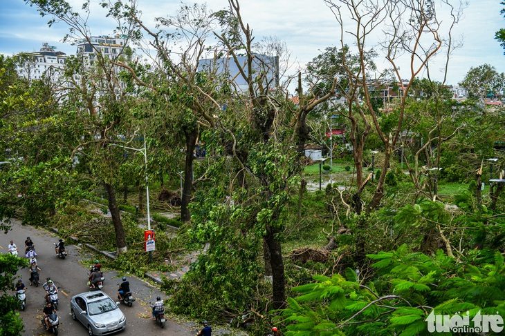 48 công nhân cây xanh TP.HCM tiếp sức Hà Nội, Hải Phòng khắc phục bão Yagi - Ảnh 1.